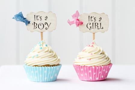 它是一个男孩,它是一个女孩,男孩,女孩,蓝色,宝贝粉红色,纸杯蛋糕