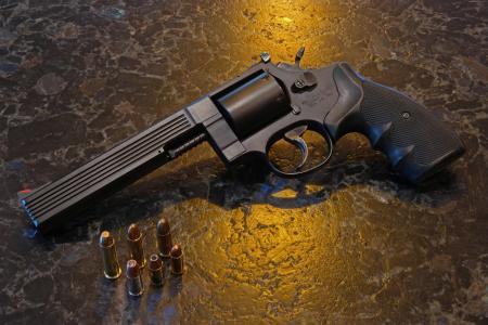 Phillips & Rodgers Medusa Model 47, revolver, unique weapon (horizontal)