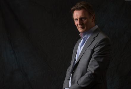 Liam Neeson,2015年最受欢迎明星,男主角（横向）
