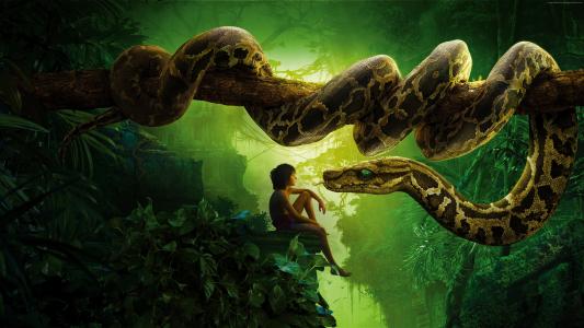 丛林书,蛇kaa,mowgli,2016年最佳电影（水平）
