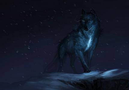 狼,神话,黑暗,冬天,4 k