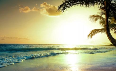 热带海滩,5k,4k壁纸,天堂,日落（水平）