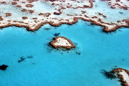 大堡礁,珊瑚礁,昆士兰,澳大利亚