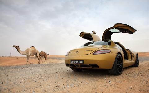 2010奔驰SLS AMG沙漠黄金8