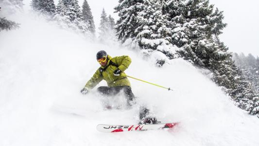滑雪,雪,冬天,松树,高清,5K