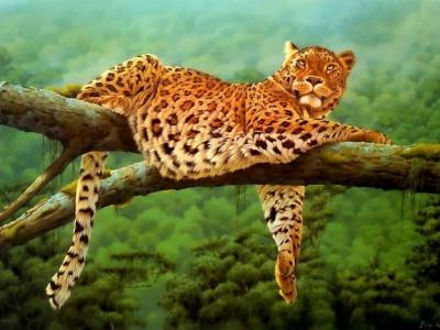 Leoparden豹