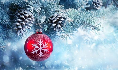 圣诞节装饰品,冬天,松树,弗罗斯特,雪,4K