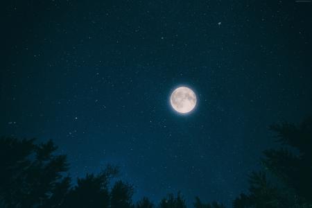 夜晚,天空,月亮,星星,森林,4k（水平）