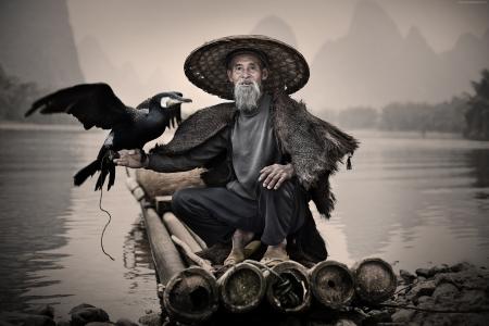 鸬鹚,丽江,兴平,中国,渔村,鸟,国家地理旅行者摄影大赛（横向）