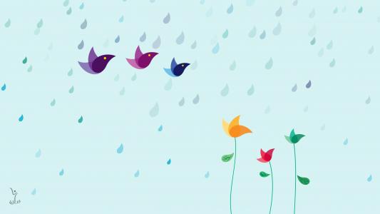 下雨天,鸟,花,色彩缤纷,高清