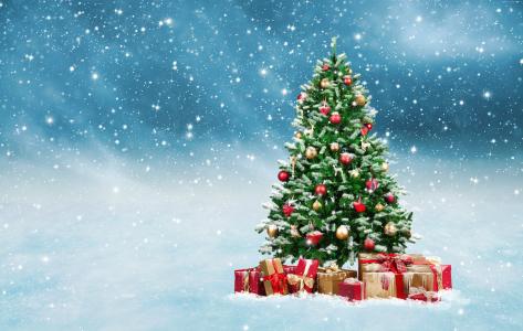 圣诞节,新年,礼物,枞树,雪,5k（水平）