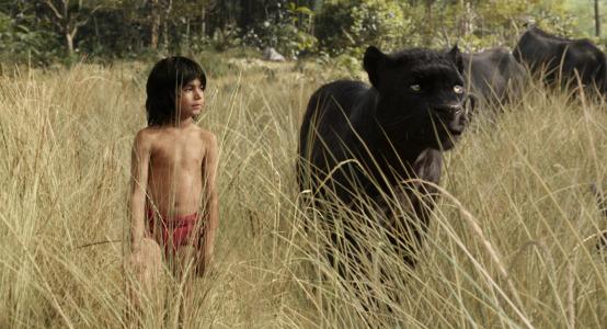 丛林书,Mowgli,Bagheera,冒险,幻想,2016年最佳电影（水平）