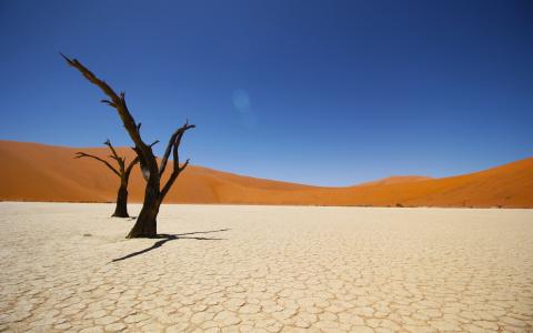纳米比亚沿海沙漠4K