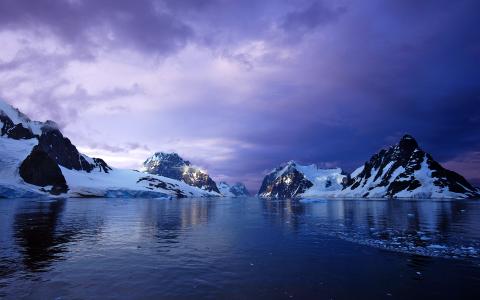 紫色Lemaire海峡海峡南极洲