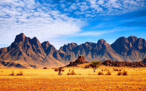 非洲大草原,景观,山