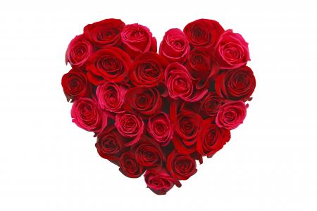 爱的形象,心,5k,玫瑰,鲜花（水平）