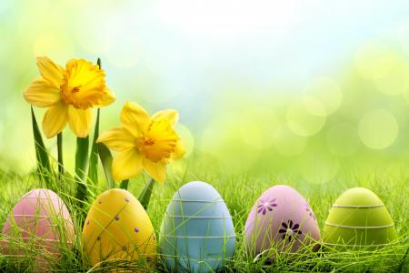 复活节,春天,鲜花,鸡蛋,篮子（水平）