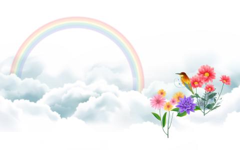 鸟和彩虹
