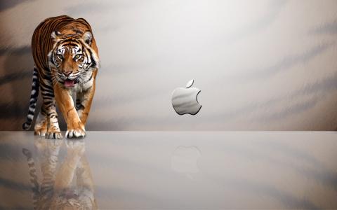 苹果MAC虎