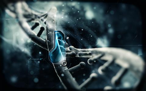 DNA纳米技术