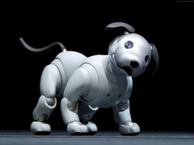 索尼爱宝,机器人,狗,HD（水平）