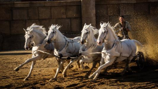 Ben-Hur,Jack Huston,马匹,2016年最佳电影（水平）
