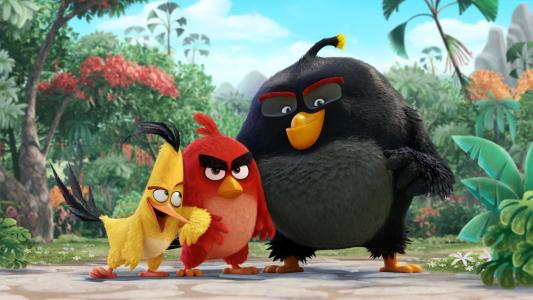 愤怒的小鸟电影,夹头,红色,炸弹,2016年最佳动画电影（水平）