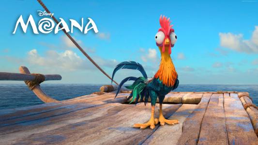 Moana,鸡,嘿嘿,2016年最佳动画电影（横向）