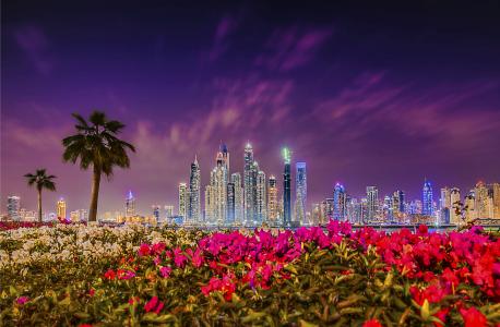 摩天大楼,迪拜,夜景,4K