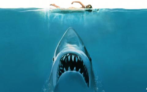 大白鲨电影概念