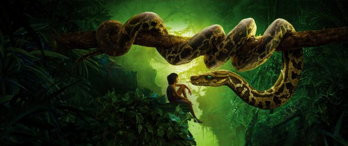 丛林书,Mowgli,Kaa,蛇