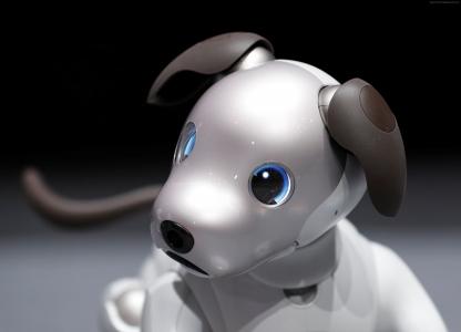 索尼爱宝,机器人,狗,4k（水平）
