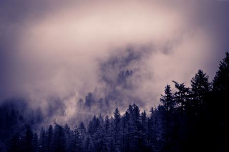 阿尔卑斯山,5k,4k壁纸,8k,云,森林,松树（水平）