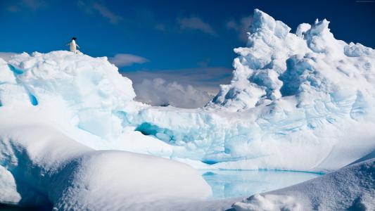南极洲,企鹅,冰山,雪（水平）