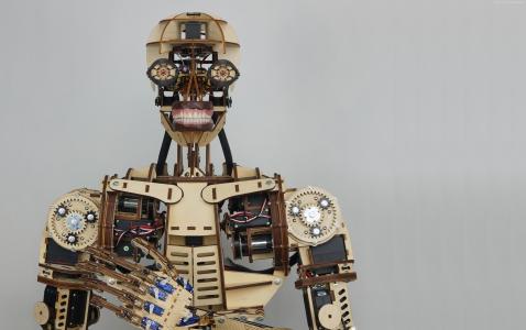 机器人罗伊,Maker Faire-2015,机器人（水平）