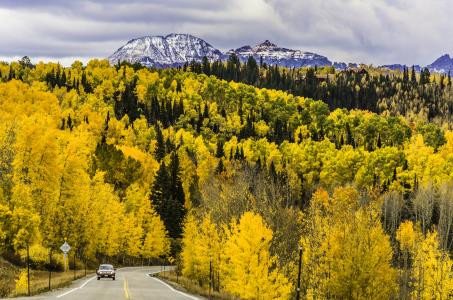 秋天,森林,树木,山,路,科罗拉多州,美国,5k（水平）