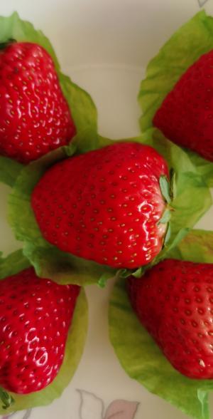 美味可口的草莓