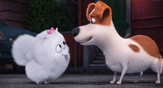宠物的秘密生活,狗,2016年最佳动画电影,卡通（水平）