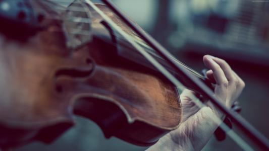 小提琴,音乐,手（水平）