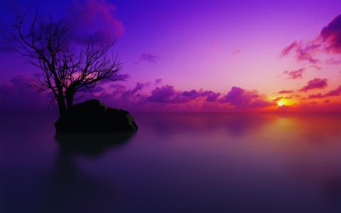马尔代夫,日落,紫色,高清
