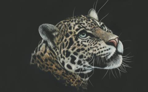 豹子艺术品油漆4K