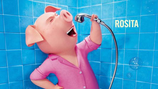 唱歌,猪,玫瑰,2016年最佳动画电影（水平）