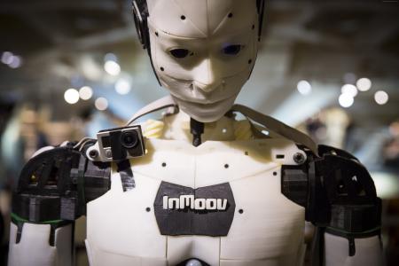 Inmoov,3D打印机器人,Maker Faire-2015,ROBOTS（水平）