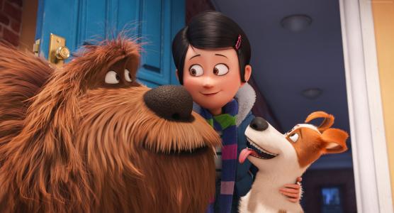 宠物的秘密生活,狗,2016年最佳动画电影,卡通（水平）