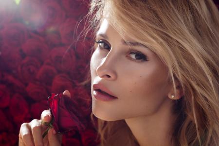 美丽的女人,模型,红玫瑰,高清