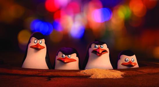 马达加斯加企鹅,企鹅,卡通,马达加斯加,搞笑,船长,Kowalski,波多黎各,私人,手表,HD,2015年最佳动画电影（水平）
