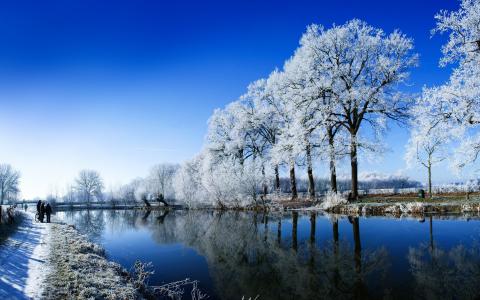 湖,树,冬天