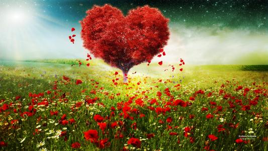 爱的心,树,阳光,罂粟花,春天,情人节,高清