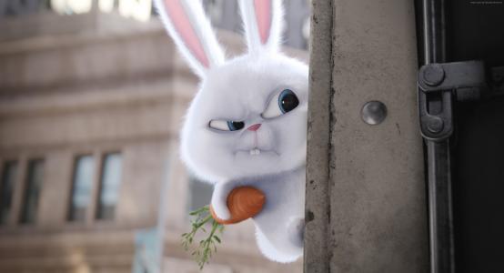 宠物的秘密生活,兔子,2016年最佳动画电影,卡通（水平）