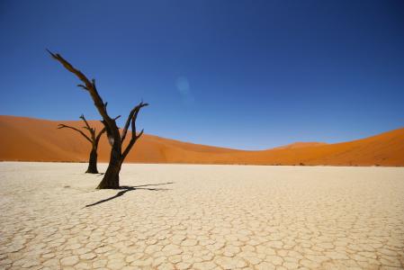 纳米比亚沙漠,沿海沙漠,4K